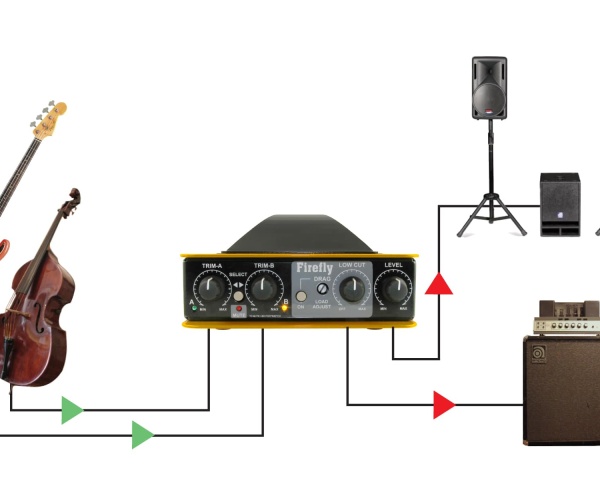firefly-studio-quality-direct-5-fc0ab311